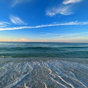 Meet your Posher, Elly